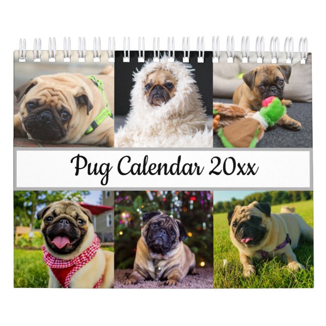 Pug Calendar (Cover)