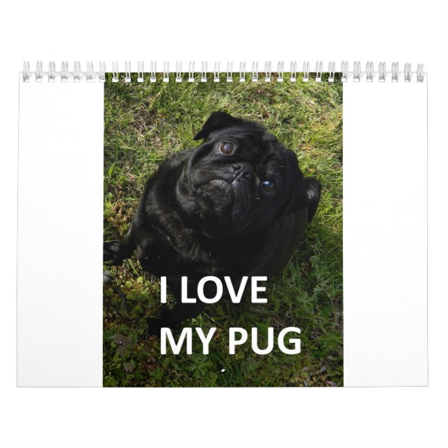 Pug Calendar (Cover)