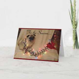 Pug Christmas Card