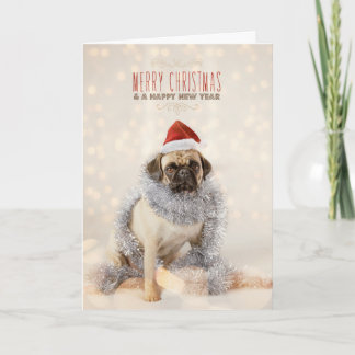Pug Christmas Card