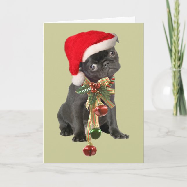Pug Christmas Cards (Front)