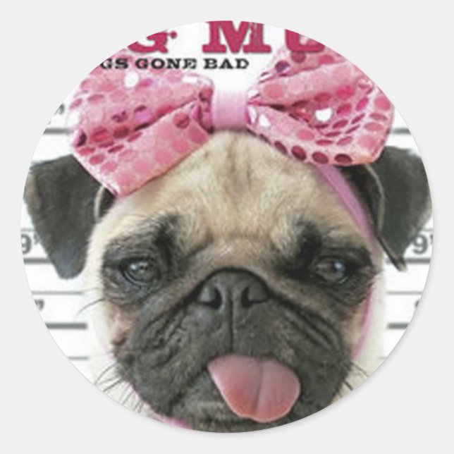 Pug Classic Round Sticker (Front)