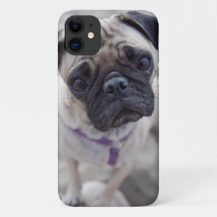 Pug Closeup iPhone 11 Case