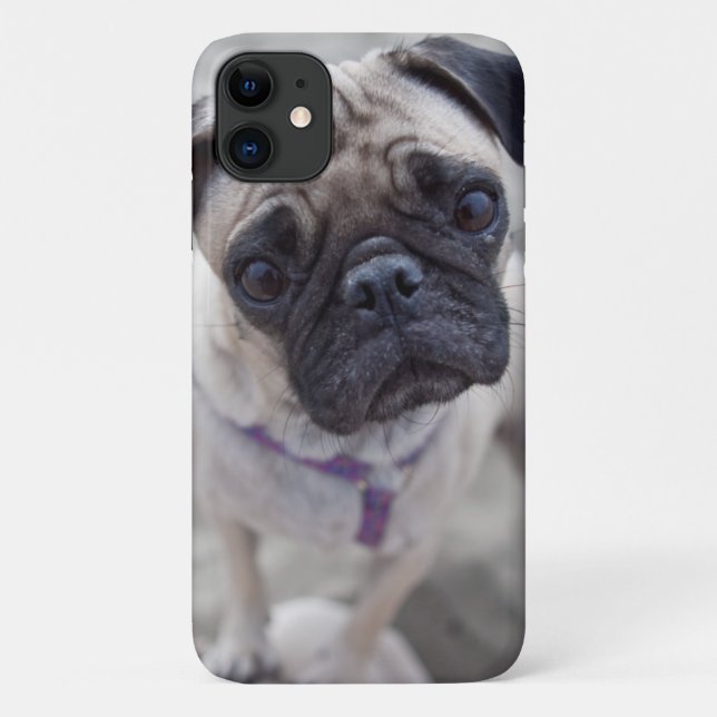 Pug Closeup Case-Mate iPhone Case (Back)