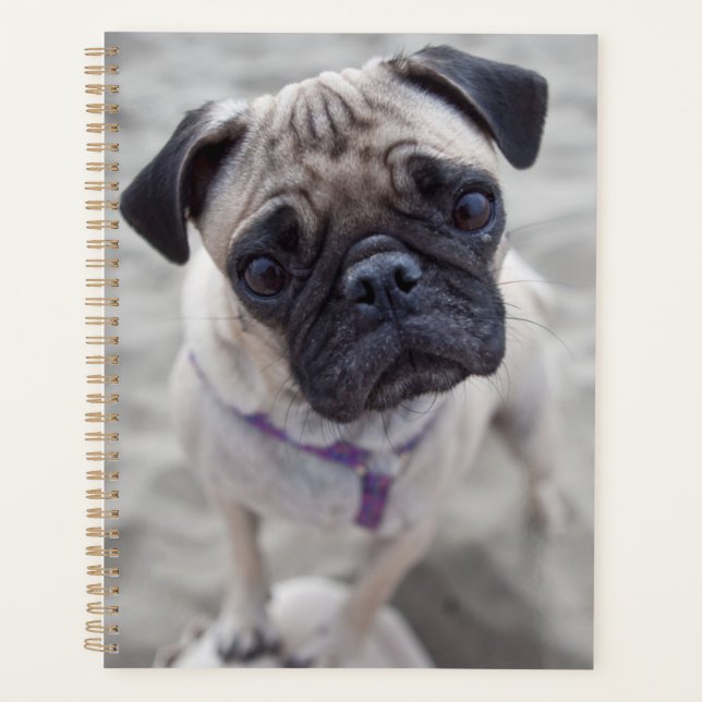 Pug Closeup Planner (Front)