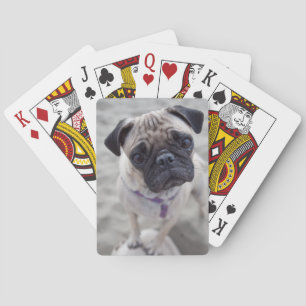 Pug Closeup Playing Cards