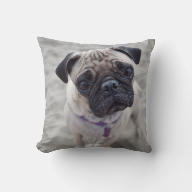 Pug Closeup Throw Pillow (Front)
