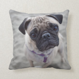 Pug Closeup Throw Pillow