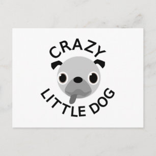 Pug Crazy Little Dog Postcard