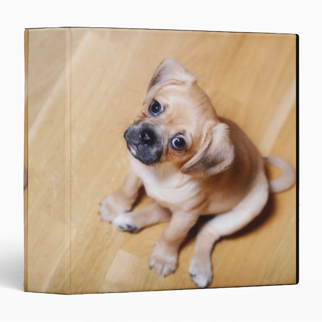 Pug Cross Cavalier King Charles Spaniel Binder (Front/Spine)