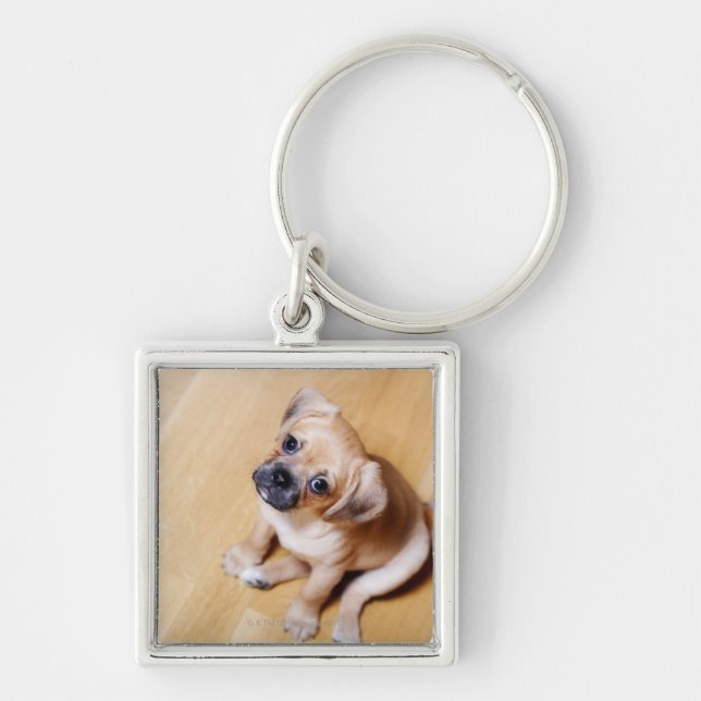Pug Cross Cavalier King Charles Spaniel Keychain (Front)