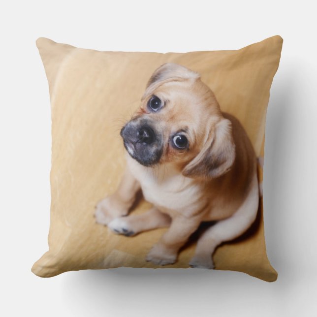 Pug Cross Cavalier King Charles Spaniel Throw Pillow (Front)