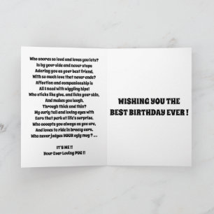 PUG cute from the dog funny Card