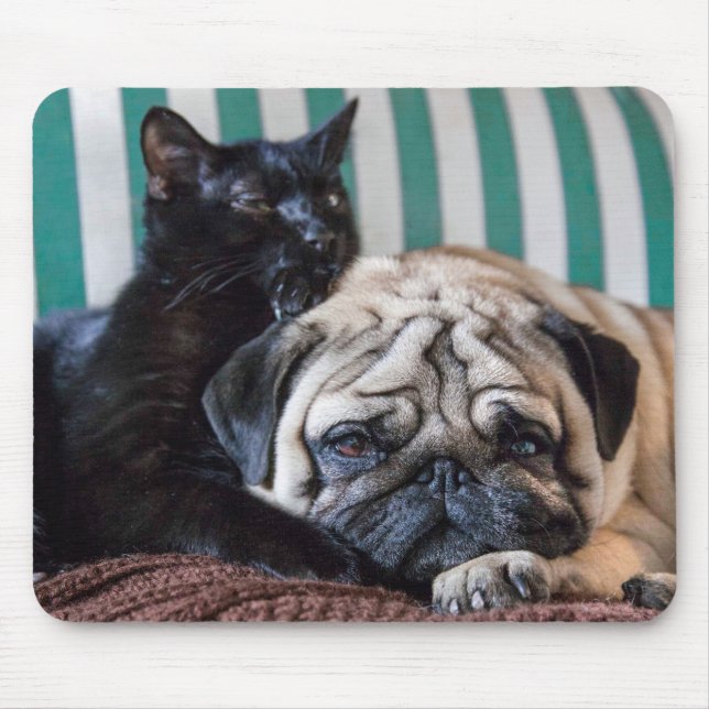 Pug Dog and Black Cat Sleeping Together Mouse Pad (Front)