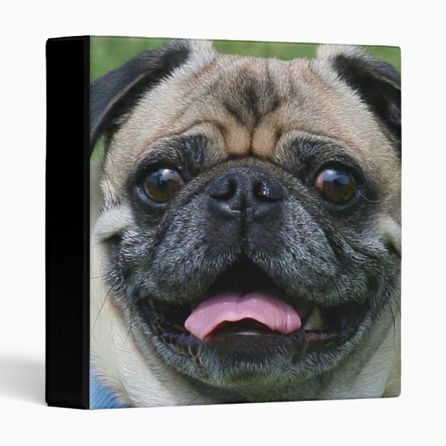 Pug Dog binder (Front/Spine)