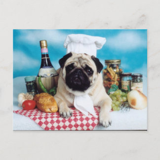 Pug Dog Chef Postcard