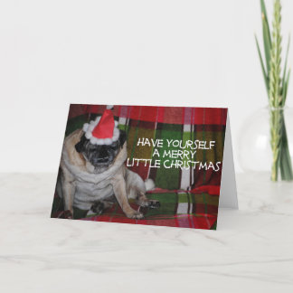 Pug Dog Christmas Greeting Card
