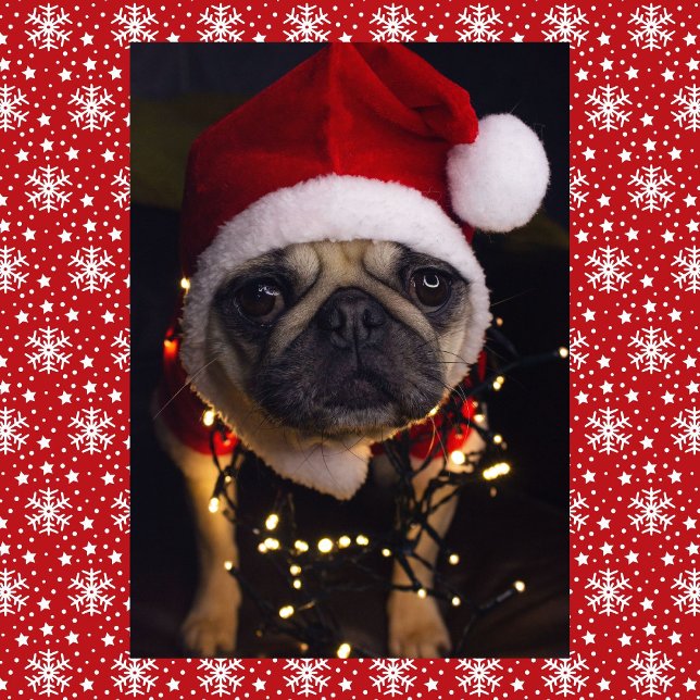 Pug Dog Christmas Personalize Signature Holiday Card (Creator Uploaded)