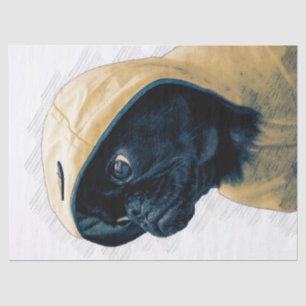 Pug Dog Decoupage Tissue Paper