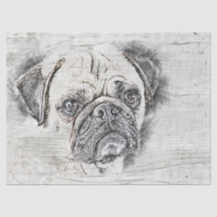 Pug Dog Drawing Tissue Paper