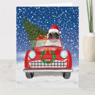 Pug Dog Driving Car In Snow Christmas  Card