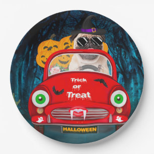 Pug Dog Driving Car Scary Halloween Paper Plate