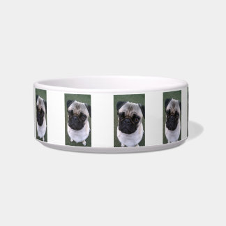 Pug Dog Food Bowl