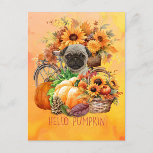 Pug Dog Hello Pumpkin Fall Autumn Thanksgiving Holiday Postcard