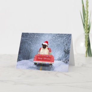 Pug Dog in Snow sitting in Christmas Truck  Card