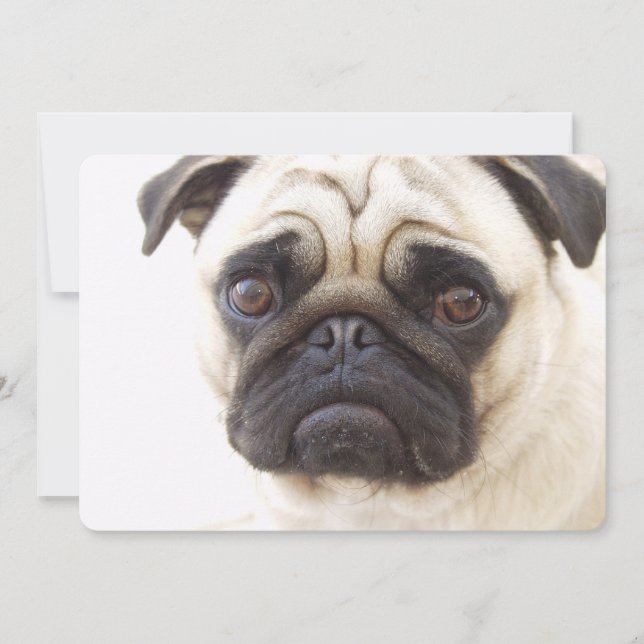 Pug Dog Invitation (Front)