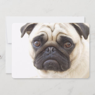 Pug Dog Invitation