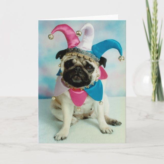 Pug Dog Jester Clown Card (Front)