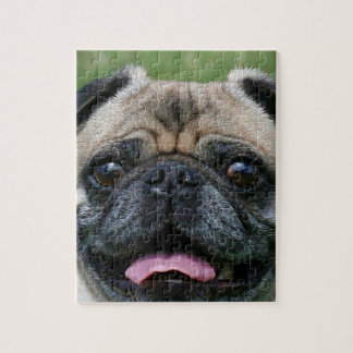 Pug Dog Jigsaw Puzzle