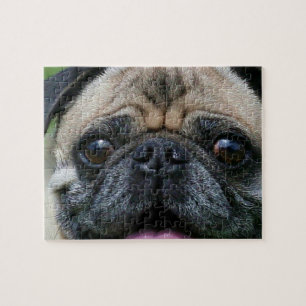 Pug Dog Jigsaw Puzzle