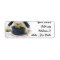 Pug dog
