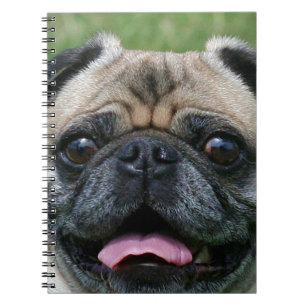 Pug Dog Notebook