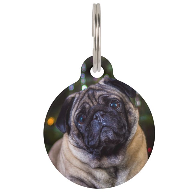 Pug Dog. Pet Tag (Front)