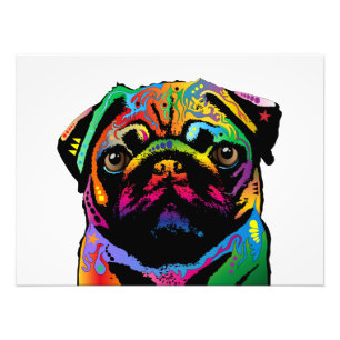 Pug Dog Photo Print