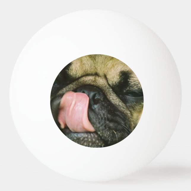 Pug Dog Ping Pong Ball (Front)