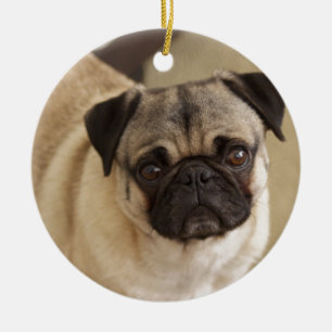PUG DOG PUP CERAMIC ORNAMENT