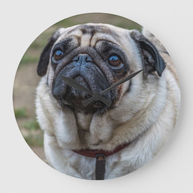 Pug dog wall clock (Front)