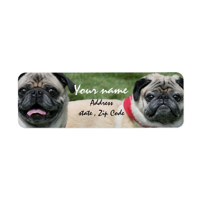 Pug dogs address labels (Front)