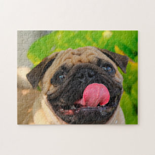 Pug Dogs. Jigsaw Puzzle