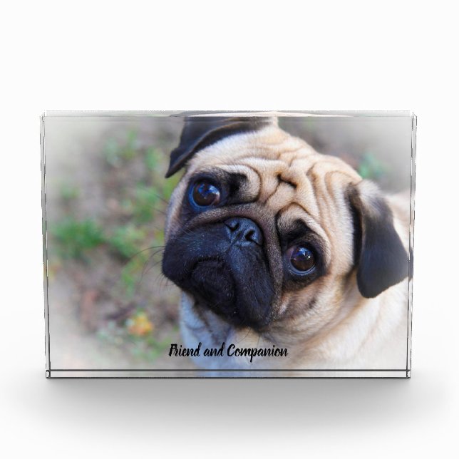 Pug Dogs Photo Block (Front)