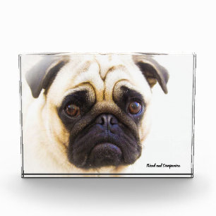 Pug Dogs Photo Block