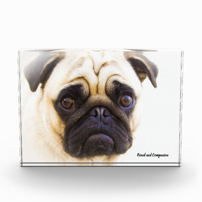 Pug Dogs Photo Block (Front)