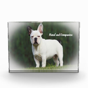Pug Dogs Photo Block