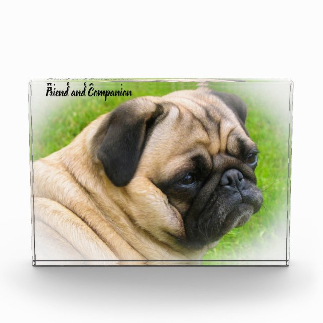Pug Dogs Photo Block (Front)