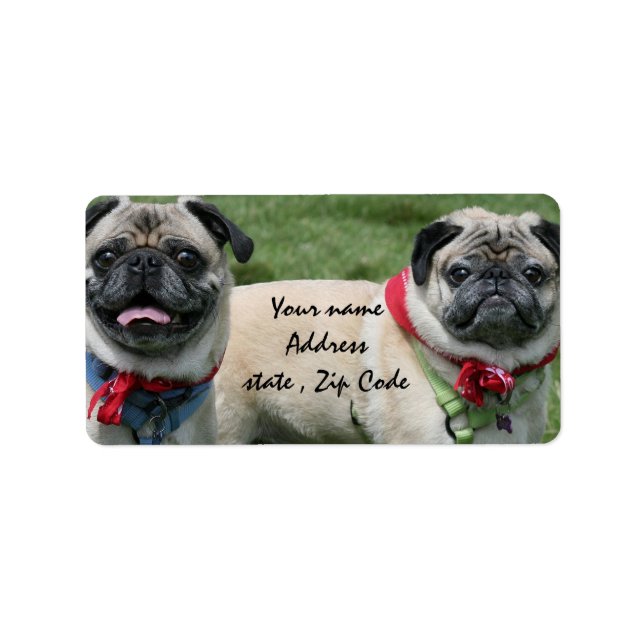 Pug dogs shipping labels (Front)