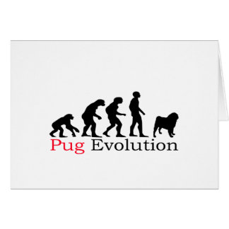 Pug Evolution